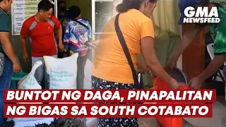 Buntot ng daga, pinapalitan ng bigas sa South Cotabato | GMA News Feed