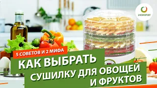 Как выбрать сушилку для овощей и фруктов ▶️ 5 советов и 2 мифа