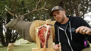 BROADHEAD VS ELK SHOULDER BLADE