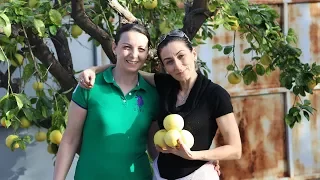 Heghineh Family Vlog #64 - Հարևանները - Heghineh Cooking Show in Armenian