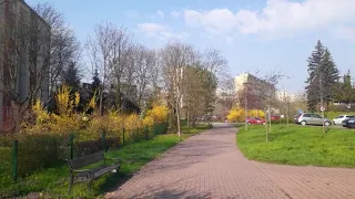 The colours of #spring in Poznan, Poland