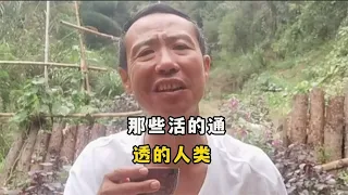 盘点那些活得通透的人类，到底经历了什么才会把人生看得如此通透