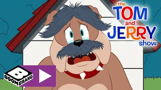 The Tom and Jerry Show | Tom Loses His Hair | Boomerang UK