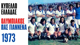 Ολυμπιακός - Πας Γιάννινα 1-0 | Κύπελλο Ελλάδας 1973| Αγιαξ της Ηπείρου