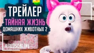 Тайная жизнь домашних питомцев 2 | HD Трейлер | Русская озвучка Tuos ONline