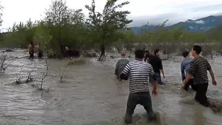 ადიდებულმა ალაზანმა ქვემო ალვანის ტერიტორია დატბორა