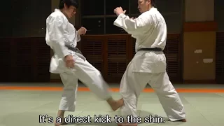 This is Low-kick from Wado-ryu Karate!