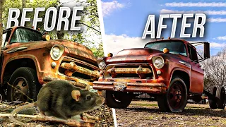 Cleaning Rat Infested Truck With Live Rodents Inside | First Wash In 50 Years! | RESTORED