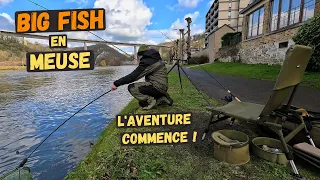 Big Fish In Tumultuous River Meuse: An Impressive Catch!