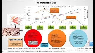 Describing Training Zones- Dr. Inigo San Millan