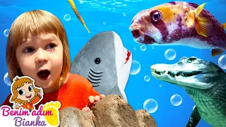 Bianka köpek balığını akvaryuma bırakıyor! Moskova gezisi! Çocuklar için video
