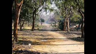 VRINDAVAN Ramya sthana Sung by HG Sivarama Prabhu