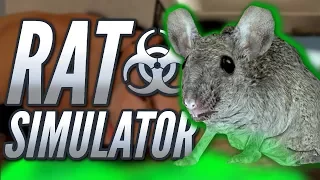 RADIOACTIVE RAT VS. FIRE NATION EXTERMINATORS - Rat Simulator