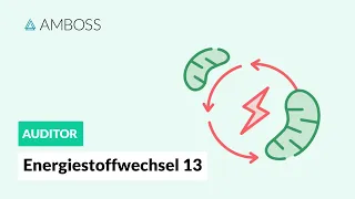 Energiestoffwechsel Teil 13 (mit Molekülstrukturen) -- Fettsäuresynthese -- AMBOSS Auditor