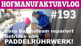 VLOG#193 Montageteam Rosa wechselt Getriebe am Paddelgigant  Hofmolkerei Farmvlog