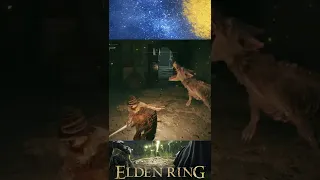 You Are Never Safe In Elden Ring