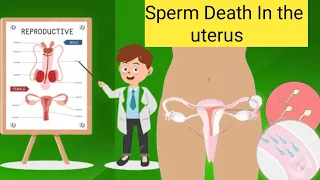 Sperm Death In The Uterus | Medical Animation By Behealthy | #2024 #sperm #fyp
