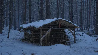 Daily life in the dugout, relaxing in a forest cabin, ASMR in winter forest