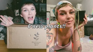 I got new plants?! 👀 Surprise houseplant unboxing from Planthaven Toronto