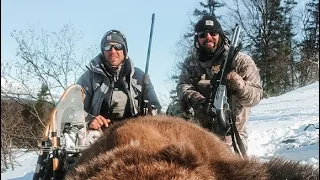 Alaskan Brown bear hunt!!