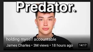 James Charles Cancelled Explained In 1 Minute