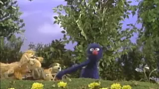 Sesame Street: Monster's Best Friend with Grover (Grover Dog walker)