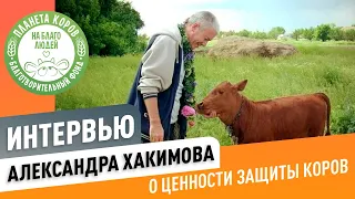 Корова как символ процветания | Интервью с Александром Хакимовым