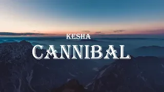 Kesha - Cannibal (Rapidsongs Edit) (Lyrics) | TikTok Song