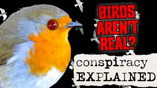 Investigating The Birds Aren't Real Conspiracy