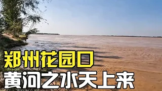 实拍郑州的黄河，太壮观了！不到黄河心不死，终于见到中国母亲河【小灵浪啊浪】