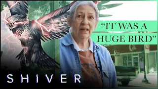 Cryptid Chronicles: The Frightening Thunderbird Encounters | Shiver