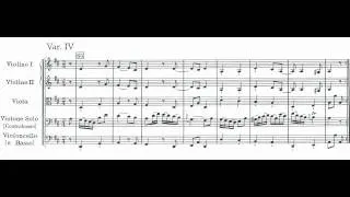 Haydn Symphony No.72 - György Schweigert Double bass solo