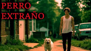 Error fatal: el perro que adopté no era un perro | MZ HORROR