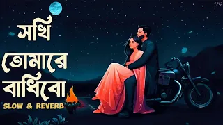 Sokhi Tomare Badibo || সখি তোমারে বাধিবো || Imran Mahmudul || TPS Lofi ||❤️🌼