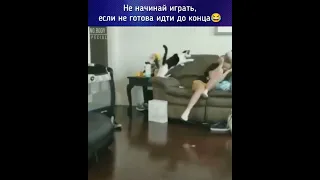 КОТ НАКАЗАЛ ЗА НАГЛОСТЬ