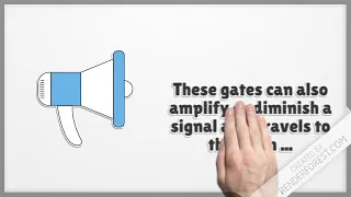 Part 1: The Gate Control Theory of Pain