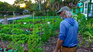 His Regenerative Micro-Farm Flourishes More + More Every Year! Garden Update W/ Jim Kovaleski