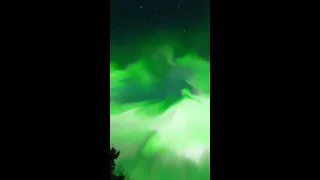 'Most insane Aurora of my life':  stunning northern lights shine across northern hemisphere