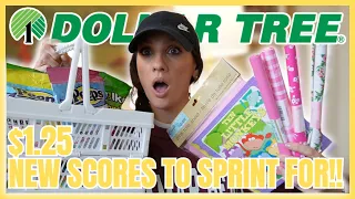 *BEST* DOLLAR TREE HAUL THIS YEAR SO FAR | Major New Drops for $1.25 | FOLDABLE BASKETS?!
