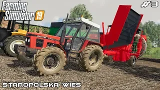 Potato harvest & fertilizing | Small Farm - Staropolska Wies | Farming Simulator 2019 | Episode 3