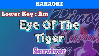 Eye Of The Tiger by Survivor (Karaoke : Lower Key : Am)