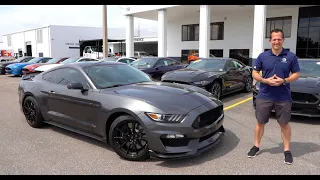 Is a used 2019 Ford Shelby GT350 the BEST Mustang to BUY instead of a 2020?