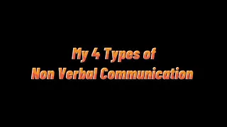 My 4 Types of Non Verbal Communication