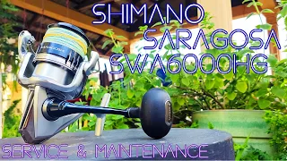 2020 SHIMANO SARAGOSA SWA 6000HG - Reel service and maintenance -