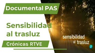 Documental "Sensibilidad al trasluz" (Personas Altamente Sensibles - PAS)