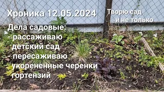 Творю сад. Хроника 12.05.2024: рассадка детского сада