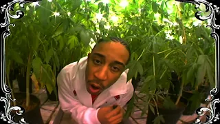 Ludacris - Blueberry Yum Yum (EXPLICIT) [A.I. UPSCALE 4K] (2004)