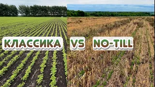 Соя в траве! Всходы… Классика vs No-Till. Часть 2