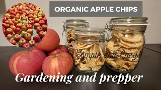 How To Make Organic Apple Chips | Step by Step | Gardening and prepper