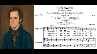 Franz Schubert - Heidenröslein (Sheet music and lyrics)